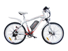 CYCLEMAN E-MAX