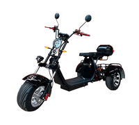 GT X11 Trike