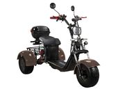 Электротрицикл SKYBOARD TRIKE BR40-3000 PRO FAST - Фото 10