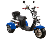 Электротрицикл SKYBOARD TRIKE BR60-3000 PRO - Фото 10