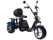 Электротрицикл SKYBOARD TRIKE BR80 - Фото 24